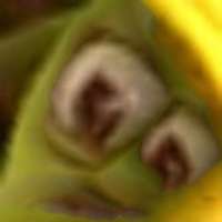 420x420
