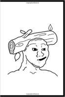 333x499