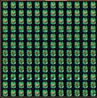 533x538