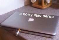 460x316
