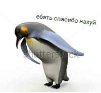 959x885