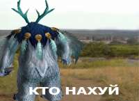 768x559