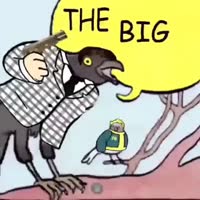 360x360