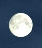 170x196