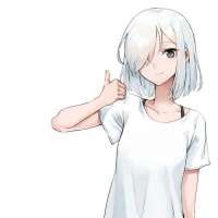 736x736