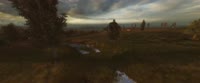 3440x1440