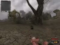 480x360