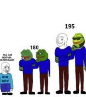 267x300