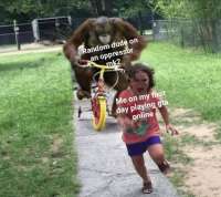 498x445