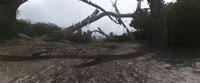 3440x1440