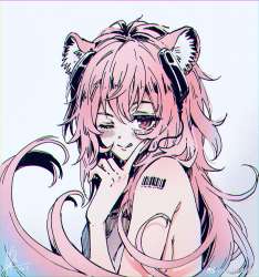 1685x1800