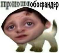 600x545