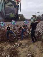540x720