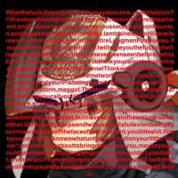 480x480