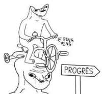 276x256