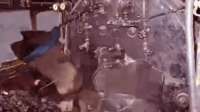 498x280