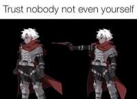 462x333