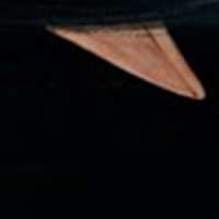 250x250
