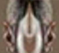 1368x1248