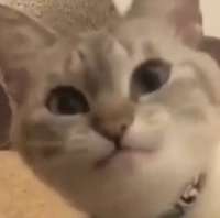 290x288