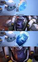 590x960