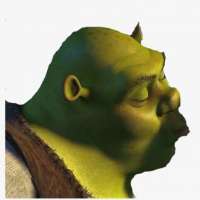 383x383