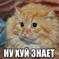 397x396