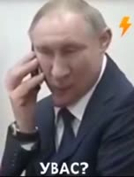 548x720