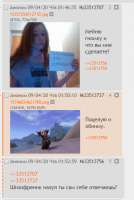 383x569