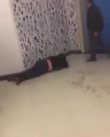 288x360