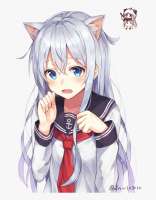 860x1098
