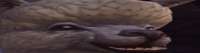 793x211