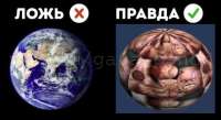 628x343