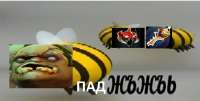 765x388