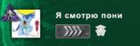 244x81