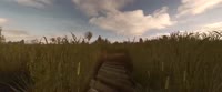 3440x1440