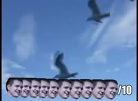 490x360
