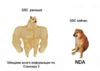 509x363