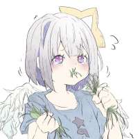 1077x1080