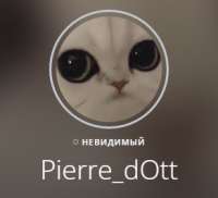 292x266