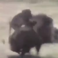 320x320