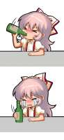462x997