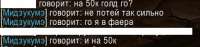 338x81