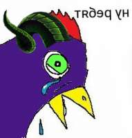 323x337