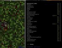 1232x959