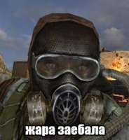 294x319