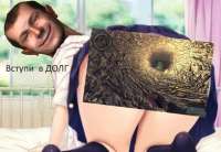 595x411