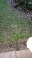 336x600