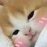 1072x1080