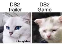 720x530